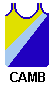 singlet: yellow top blue (sky) diagonal blue (navy) bottom and navy trim