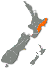 Rowing regions: Auckland, Waikato, East Coast, Whanganui, Wellington, Nelson/Marlborough, Canterbury, Otago, Southland