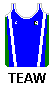 Old Singlet