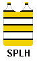 singlet: yellow and white bands separated by thin black bands