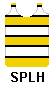 yellow and white bands separated by thin black bands